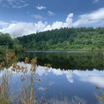 Hot Spring County Timberland property for sale