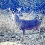 Investment property for sale in Drew County