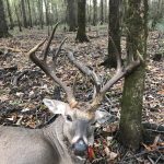 Drew County Recreational property for sale