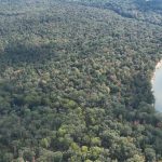 Drew County Timberland for sale