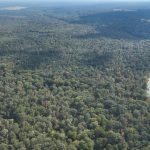 Drew County Investment property for sale