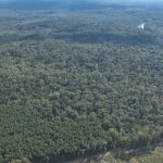 Drew County Recreational land for sale