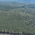 Recreational land for sale in Drew County