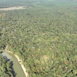 Drew County Timberland for sale