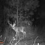 Drew County Recreational land for sale