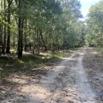 Drew County Recreational land for sale
