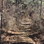 Hunting property for sale in La Salle Parish