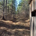 La Salle Parish Hunting property for sale