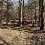 Recreational land for sale in La Salle Parish