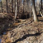 Timberland for sale in La Salle Parish