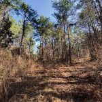 La Salle Parish Investment property for sale