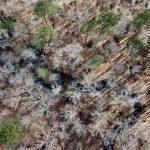 La Salle Parish Recreational land for sale