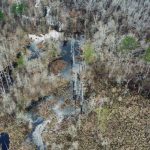 La Salle Parish Timberland for sale