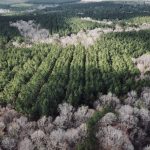 Investment land for sale in La Salle Parish