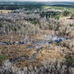 La Salle Parish Timberland for sale