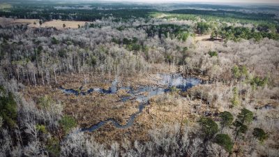 La Salle Parish Timberland for sale