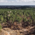 La Salle Parish Investment property for sale