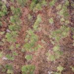 Recreational land for sale in La Salle Parish