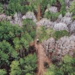 Recreational land for sale in La Salle Parish