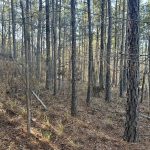 La Salle Parish Investment land for sale