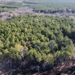 La Salle Parish Investment property for sale