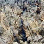 Investment property for sale in La Salle Parish