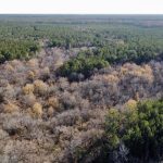 La Salle Parish Recreational property for sale