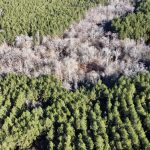 La Salle Parish Recreational land for sale