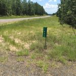 Sabine Parish Timberland for sale