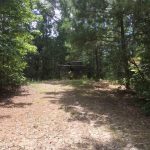 Sabine Parish Timberland property for sale