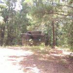 Sabine Parish Recreational land for sale