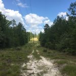 Sabine Parish Investment land for sale