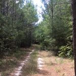 Investment property for sale in Sabine Parish