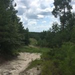 Sabine Parish Recreational property for sale