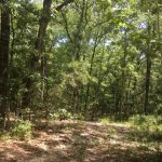 Sabine Parish Recreational land for sale