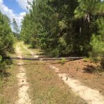 Sabine Parish Investment property for sale