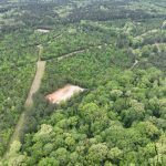 Timberland property for sale in Lincoln Parish