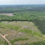 Timberland property for sale in Lincoln Parish