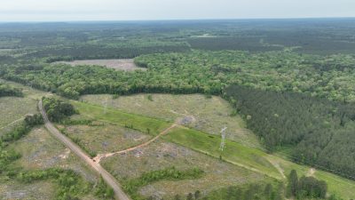 Timberland property for sale in Lincoln Parish