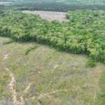 Lincoln Parish Investment land for sale