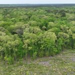 Recreational land for sale in Lincoln Parish