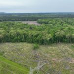 Recreational land for sale in Lincoln Parish