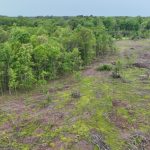 Development land for sale in Jackson Parish