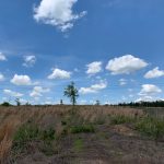 Lincoln Parish Investment property for sale