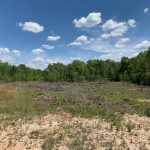 Development property for sale in Jackson Parish