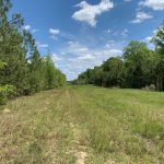Jackson Parish Investment property for sale
