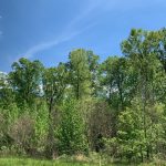 Jackson Parish Recreational property for sale