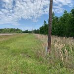 Timberland property for sale in Ouachita Parish