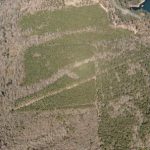 Union Parish Timberland property for sale