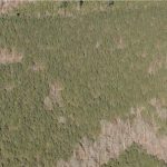 Investment property for sale in Union Parish